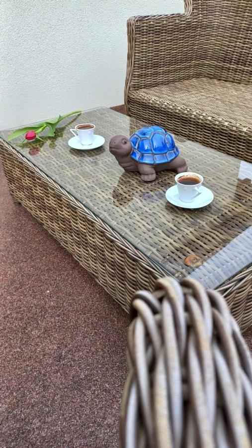 Villa Haskova With 3 Bedrooms Banska Bystrica Ngoại thất bức ảnh