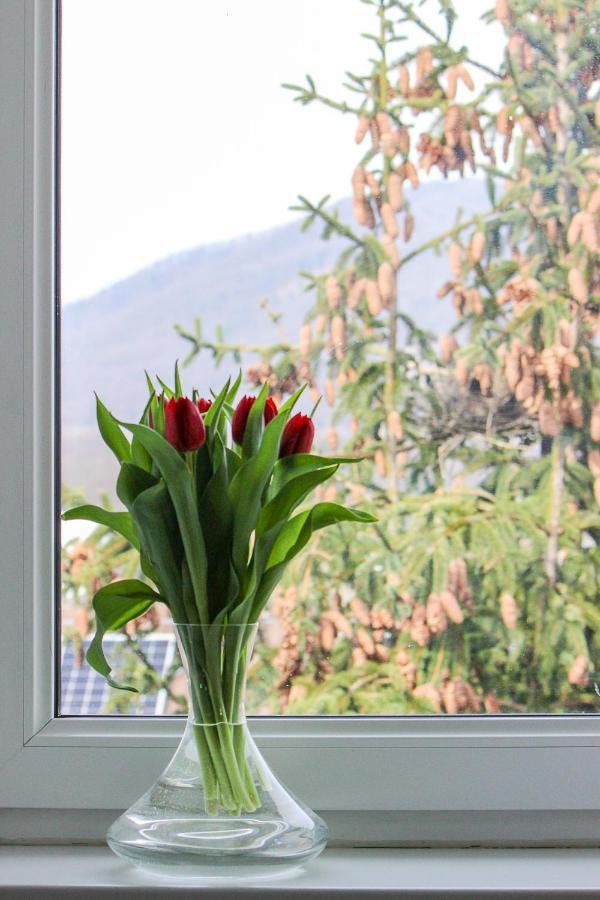 Villa Haskova With 3 Bedrooms Banska Bystrica Ngoại thất bức ảnh